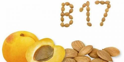 Абрикосовые ядра польза и вред для организма человека. Вред семечек абрикосовых косточек