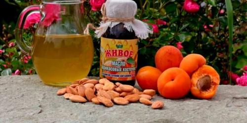 Абрикосовые ядра польза и вред для организма человека. Вред семечек абрикосовых косточек