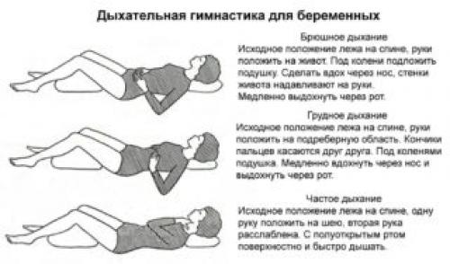 Упражнения для улучшения кровообращения в малом тазу при беременности. «Золотая середина» беременности