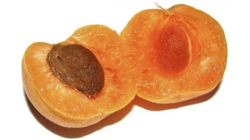 Что можно есть на перекус при правильном питании. Время для перекуса. Во сколько лучше кушать и что