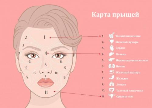 Проблемы на лице и органы. Карта прыщей на лице и внутренние причины появления акне