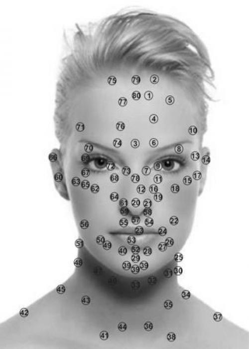 Лицо и органы. Чистый лоб - чистый организм 04