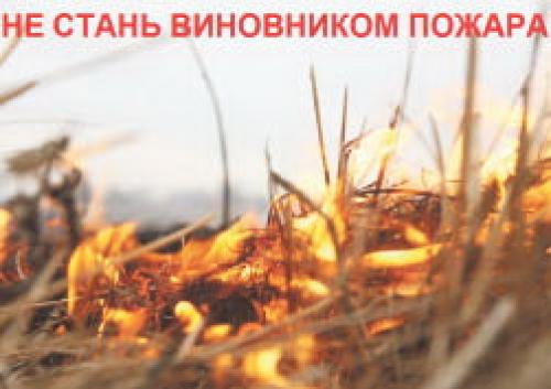 Готовимся к осеннему сезону. Осенний сад: готовимся к новому сезону 01 Готовимся к осеннему сезону. Осенний сад: готовимся к новому сезону 01