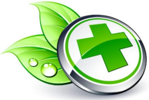 Чай из мелиссы и мяты. Чай с мелиссой