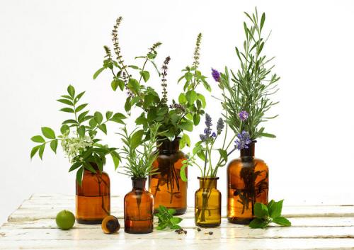 Бюджетный уход за жирной кожей лица. Что должно входить в состав из натуральных компонентов?