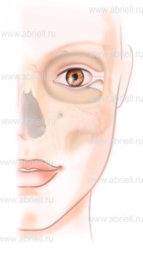 Изменить форму глаз с помощью макияжа. Как изменить форму глаз с помощью макияжа за 1 минуту 11