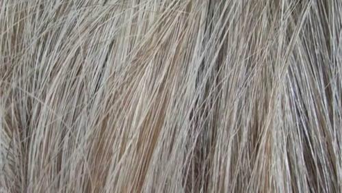 Прикорневое мелирование на длинные волосы. Мелирование на отросшие корни – фото, отзывы, цены, плюсы и минусы