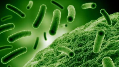 Меры предосторожности. Основные меры предосторожности от коронавирусной инфекции