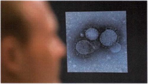 Как защититься от коронавирусной инфекции. Как защититься от коронавируса 2019-nCoV 01 Как защититься от коронавирусной инфекции. Как защититься от коронавируса 2019-nCoV 01