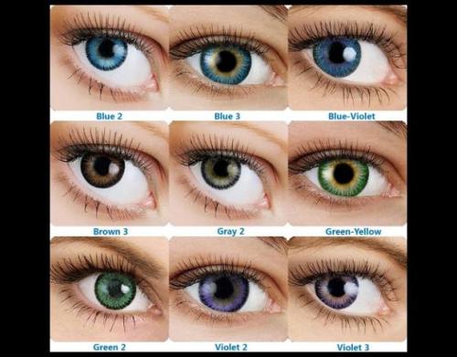 Как правильно одевать линзы. Виды контактных линз