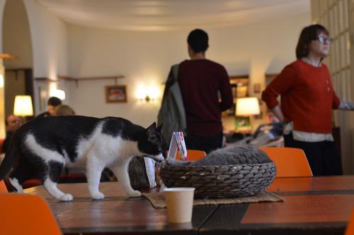 Одиночество в 40 лет. Женское одиночество в 40 лет. Ужасные последствия