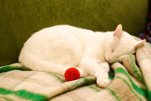 Одиночество в 40 лет. Женское одиночество в 40 лет. Ужасные последствия