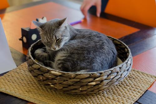 Одиночество в 40 лет. Женское одиночество в 40 лет. Ужасные последствия