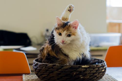 Одиночество в 40 лет. Женское одиночество в 40 лет. Ужасные последствия