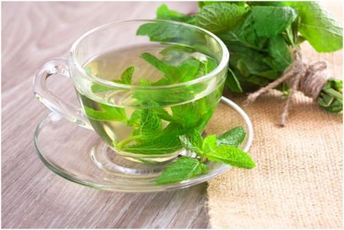 Чай мята лимон мед. Полезные свойства и противопоказания чая с мятой, рецепты и особенности употребления