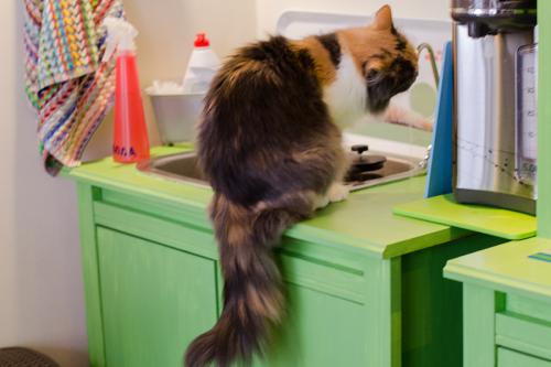 Одиночество в 40 лет. Женское одиночество в 40 лет. Ужасные последствия