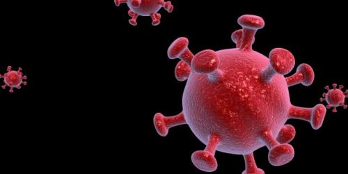 Чем лечить коронавирус у людей. Что такое коронавирусы