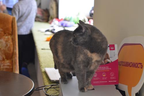 Одиночество в 40 лет. Женское одиночество в 40 лет. Ужасные последствия