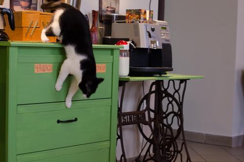 Одиночество в 40 лет. Женское одиночество в 40 лет. Ужасные последствия