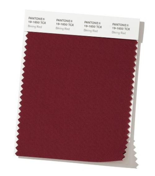 Pantone осень-зима 2019 2019. Модные цвета осень-зима 2019-2020 по версии Pantone