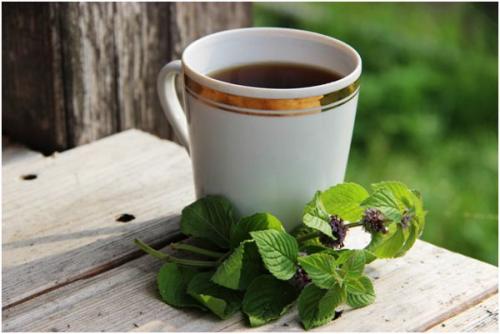 Чай мята лимон мед. Полезные свойства и противопоказания чая с мятой, рецепты и особенности употребления
