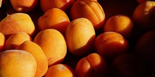 Польза абрикосов и вред. Польза и вред абрикосов для здоровья 05