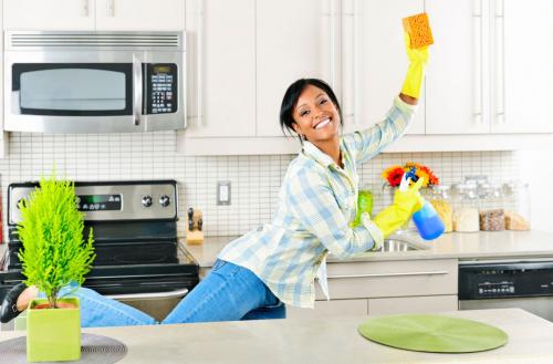 Правила соблюдения чистоты на кухне в офисе. 7 правил идеальной чистоты на кухне