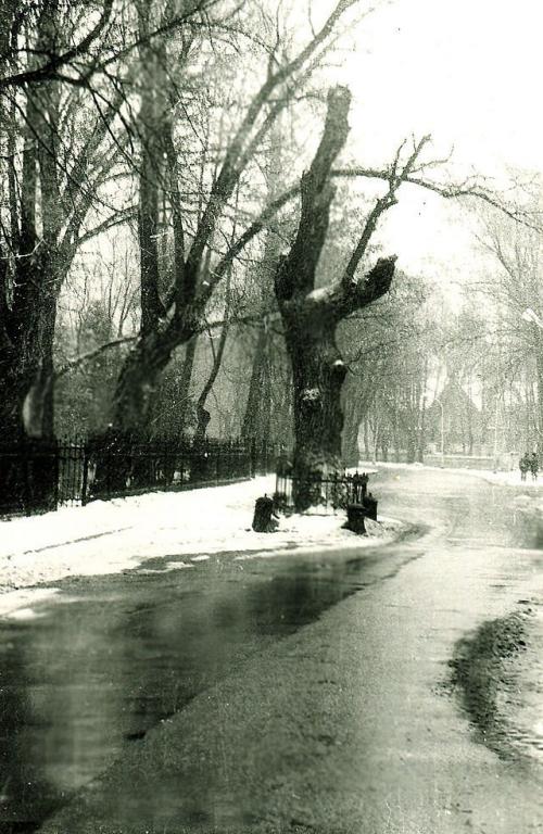 В России растет количество выздоровевших от коронавируса. Когда вакцина от коронавируса появится в России 08 В России растет количество выздоровевших от коронавируса. Когда вакцина от коронавируса появится в России 08