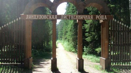 В России растет количество выздоровевших от коронавируса. Когда вакцина от коронавируса появится в России 10 В России растет количество выздоровевших от коронавируса. Когда вакцина от коронавируса появится в России 10