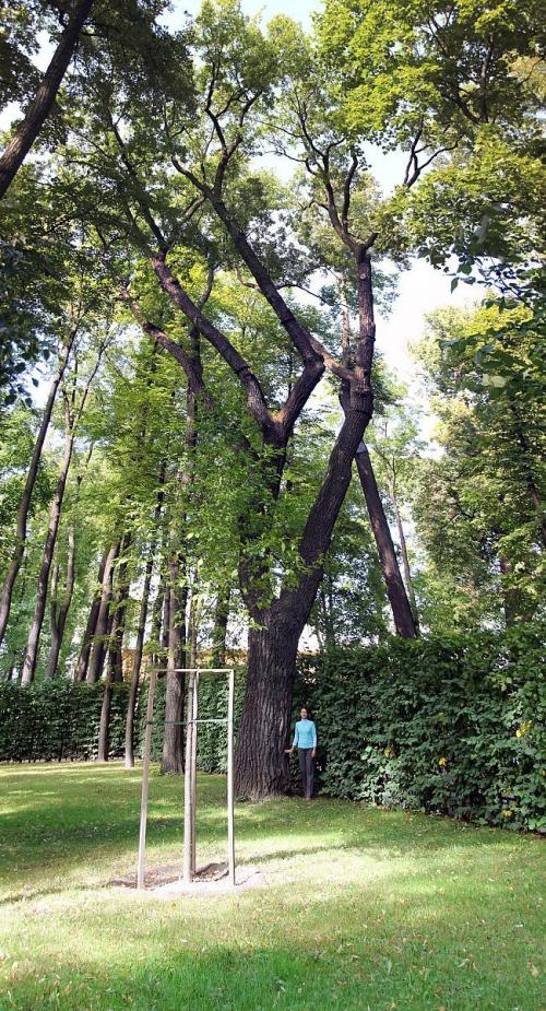 В России растет количество выздоровевших от коронавируса. Когда вакцина от коронавируса появится в России 01 В России растет количество выздоровевших от коронавируса. Когда вакцина от коронавируса появится в России 01