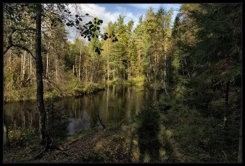 В России растет количество выздоровевших от коронавируса. Когда вакцина от коронавируса появится в России 09 В России растет количество выздоровевших от коронавируса. Когда вакцина от коронавируса появится в России 09