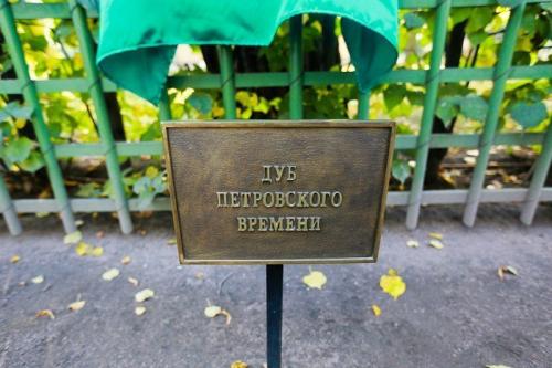 В России растет количество выздоровевших от коронавируса. Когда вакцина от коронавируса появится в России 02 В России растет количество выздоровевших от коронавируса. Когда вакцина от коронавируса появится в России 02