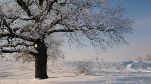 В России растет количество выздоровевших от коронавируса. Когда вакцина от коронавируса появится в России 14 В России растет количество выздоровевших от коронавируса. Когда вакцина от коронавируса появится в России 14