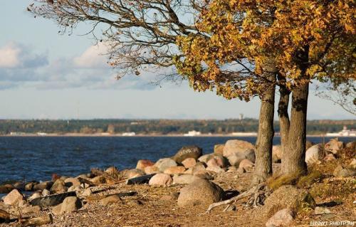 В России растет количество выздоровевших от коронавируса. Когда вакцина от коронавируса появится в России 11 В России растет количество выздоровевших от коронавируса. Когда вакцина от коронавируса появится в России 11