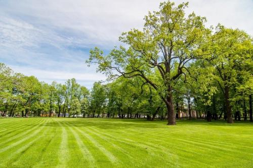 В России растет количество выздоровевших от коронавируса. Когда вакцина от коронавируса появится в России 05 В России растет количество выздоровевших от коронавируса. Когда вакцина от коронавируса появится в России 05