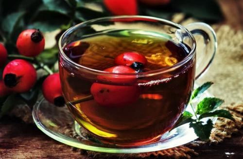 Самые полезные травы для организма человека. Какие травы можно заваривать вместо чая каждый день