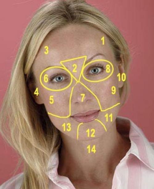 Зоны на лице отвечающие за внутренние органы. Диагностирование болезней по лицу человека 01