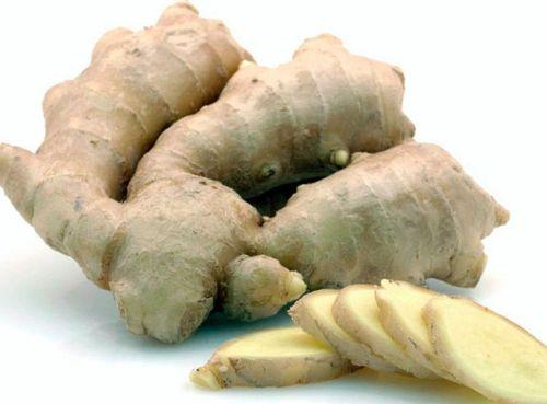 Какая трава самая полезная. Пять самых полезных трав 02 Какая трава самая полезная. Пять самых полезных трав 02