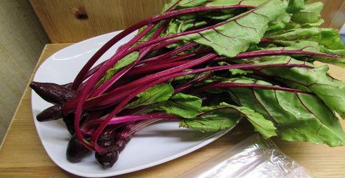 Какая трава самая полезная для бройлеров. Введение зелени в рацион цыплят