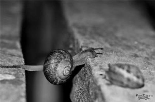 Как сесть на шпагат в 30 лет в домашних условиях. Воркаут, вызов себе — шпагат