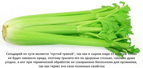 Низкокалорийные продукты для похудения список. Список самых низкокалорийных продуктов для похудения