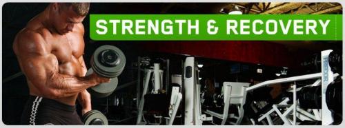 Как принимать Глютамин с креатином. Польза креатина и глютамина