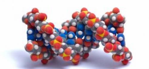 Аргинин или Глютамин, что лучше. Комплексные аминокислоты, Глютамин и Аргинин