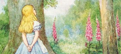 Не грусти сказала алиса рано или поздно все станет понятно отрывок. 25 лучших цитат из «Алиса в стране чудес»