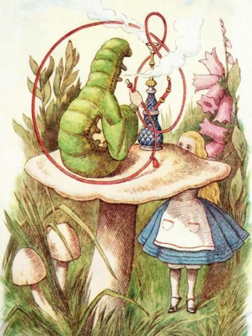 Не грусти сказала алиса рано или поздно все станет понятно отрывок. 25 лучших цитат из «Алиса в стране чудес»