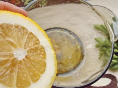 Заправка для салата вместо майонеза диетическая. Соус-заправка для салатов вместо майонеза.