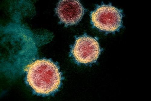 Как защититься от нового коронавируса. Коронавирус - пациент-зеро