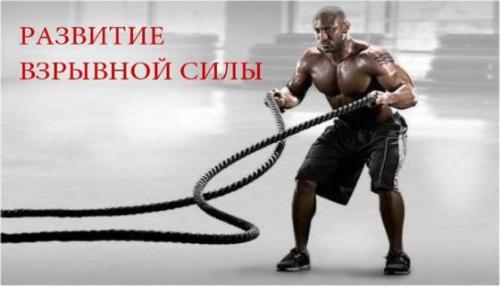 Как развить взрывную силу в подтягиваниях. Развитие взрывной силы в мышцах для бойцов и атлетов