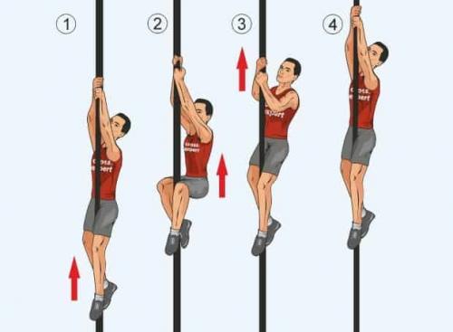 Тренировка кисти. Тренировка кистей