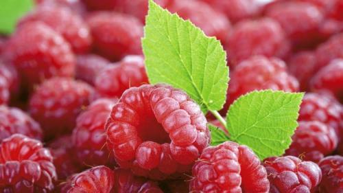 Творожная запеканка в микроволновке пп рецепт с. Диетическая творожная запеканка в микроволновке